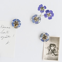 Abbildung4 Veilchen, Farn & Ringelblumen