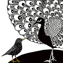 Abbildung4 Das Lied des Stars