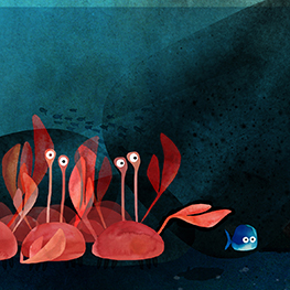 Abbildung4 Schattenfisch