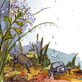 Abbildung4 Die Uhr schlug Mitternacht