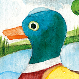 Abbildung4 Mein erstes Bilderbuch