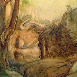 Abbildung4 Der Nachtschelm und das Siebenschwein