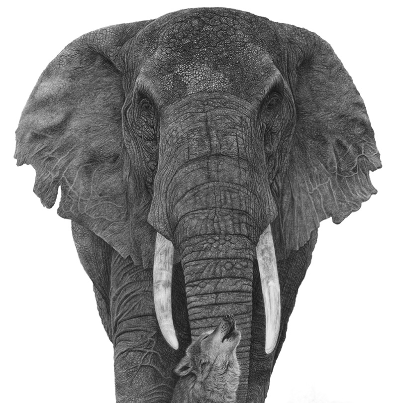 Abbildung5 Bruder Tier