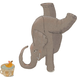 Abbildung5 Bommelböhmer und Schnauze