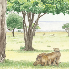 Abbildung5 Tierfreundschaften