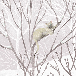 Abbildung5 In einem Kirschbaum fand ich Hoffnung