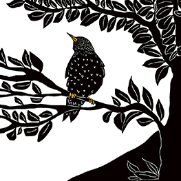 Abbildung5 Das Lied des Stars