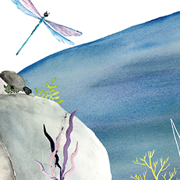 Abbildung5 Das Märchen vom Meerchen