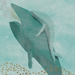 Abbildung5 Die Wale und wir