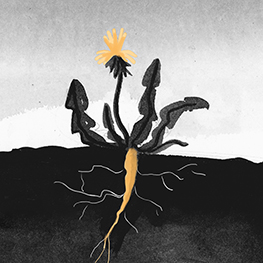 Abbildung5 Enno Anders