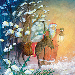 Abbildung5 Die kleine Elfe feiert Weihnachten