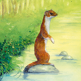 Abbildung5 Der Nachtschelm und das Siebenschwein