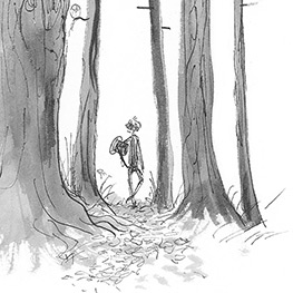 Abbildung6 Das geheimnisvolle Verschwinden von Toni Malloni