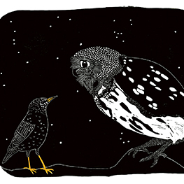 Abbildung6 Das Lied des Stars