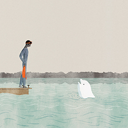 Abbildung6 Die Wale und wir