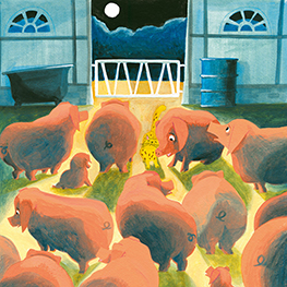 Abbildung6 Das Eichhörnchen legt ein Ei und andere Fabeln