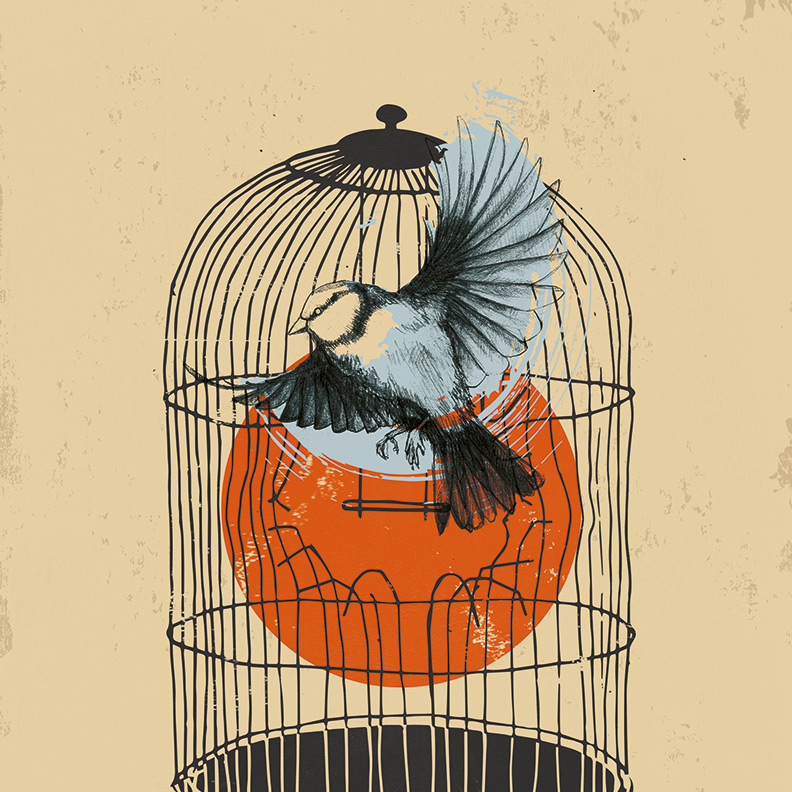 Abbildung6 Weiterkommen