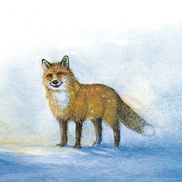 Abbildung6 Untu und das Geheimnis des Lichts