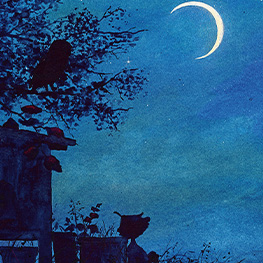 Abbildung6 Giesbert und die Gackerhühner