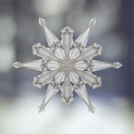 Abbildung7 Funkelnde Fenstersterne aus Seidenpapier