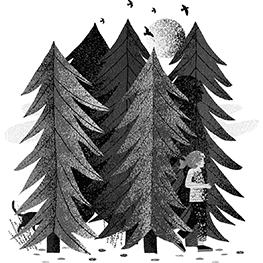 Abbildung7 Die Einsteins und der geheimnisvolle Turm