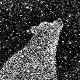 Abbildung7 Von Fuchs, Wolf und Bär ...