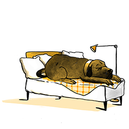 Abbildung7 Die letzten Ninjas auf der Achterbahn