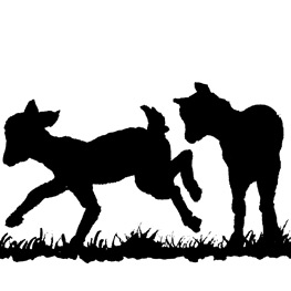 Abbildung7 Die 100 schönsten Märchen der Brüder Grimm