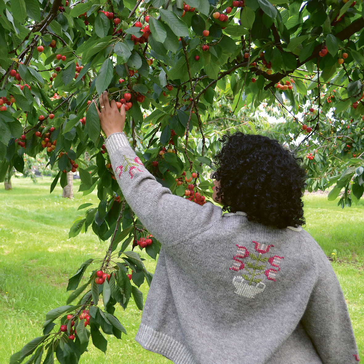 Abbildung8 Holland stricken