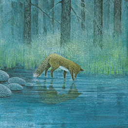 Abbildung8 Von Fuchs, Wolf und Bär ...