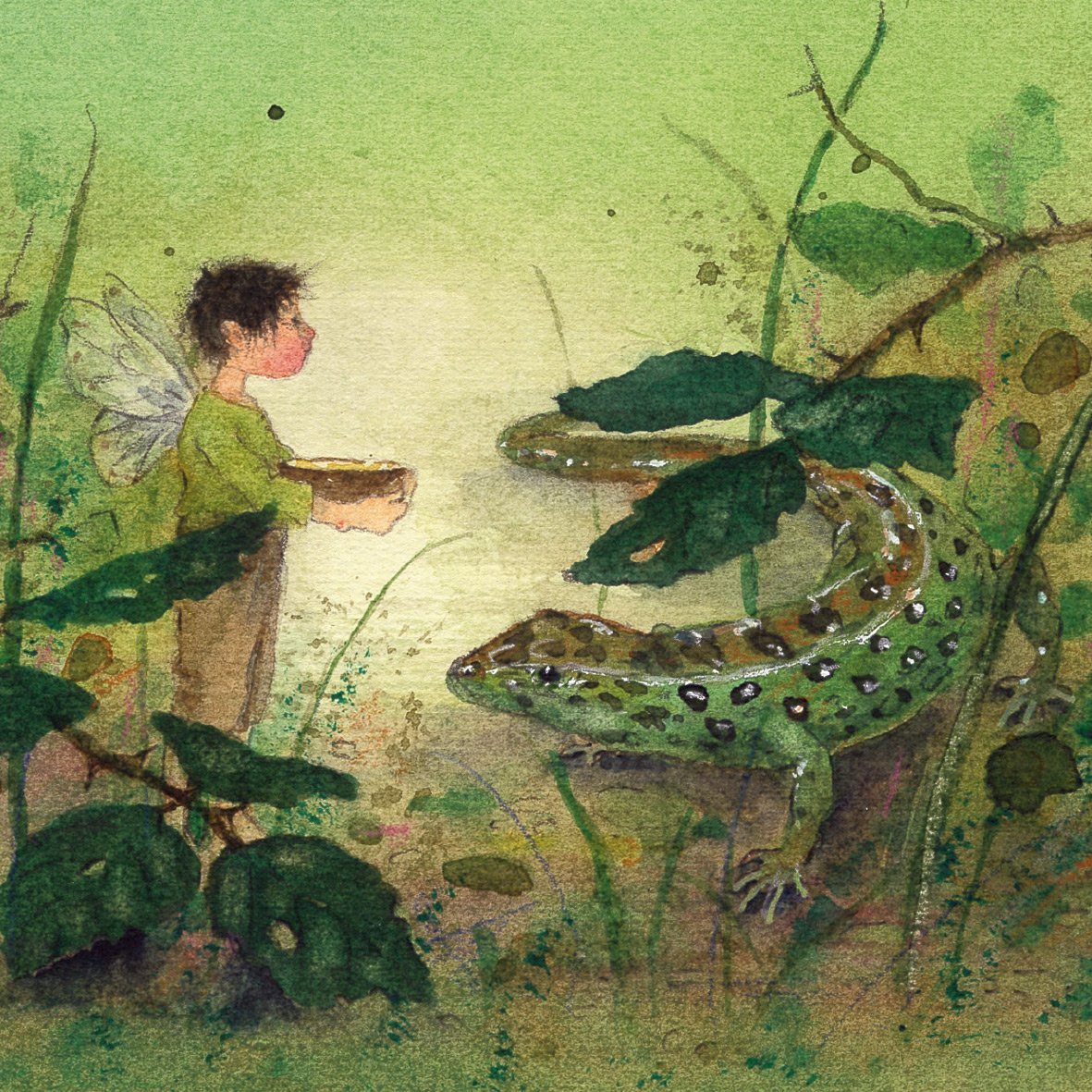 Abbildung8 Postkartenbuch "Elfenträume"